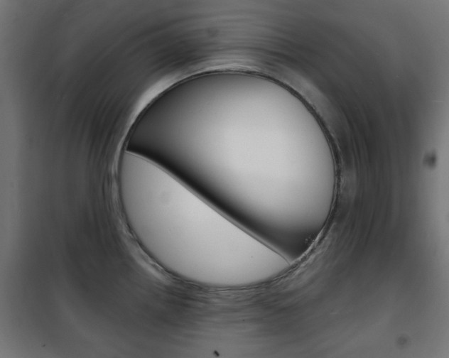 X0000101471242200807071211