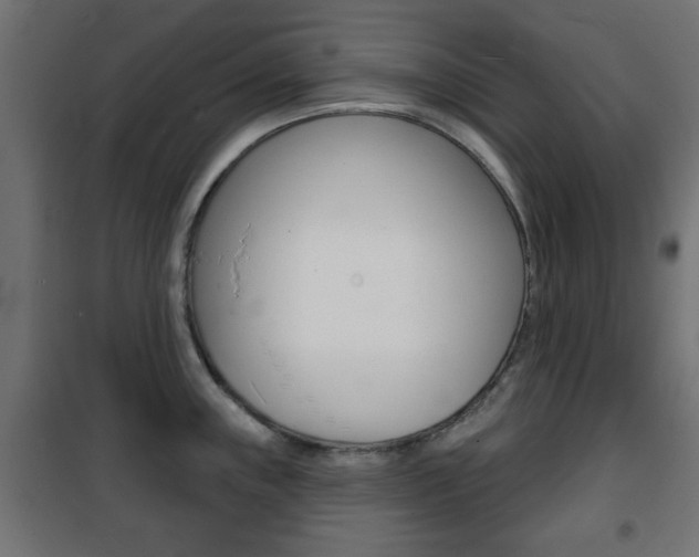 X0000101471243200807071211