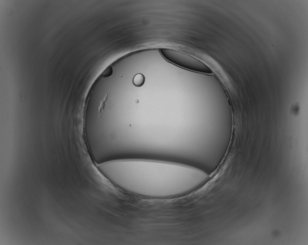 X0000101471244200807071211