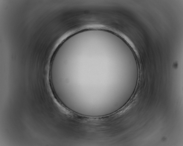 X0000101471245200807071211