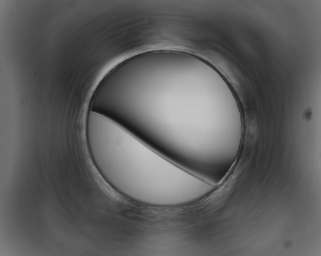 X0000101471246200807071211