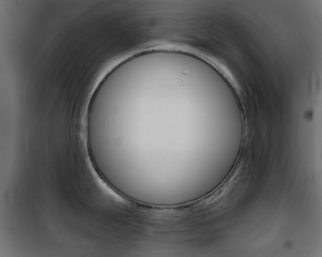 X0000101471247200807071211