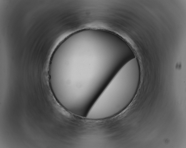 X0000101471248200807071211