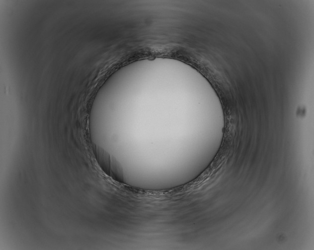X0000101471249200807071211
