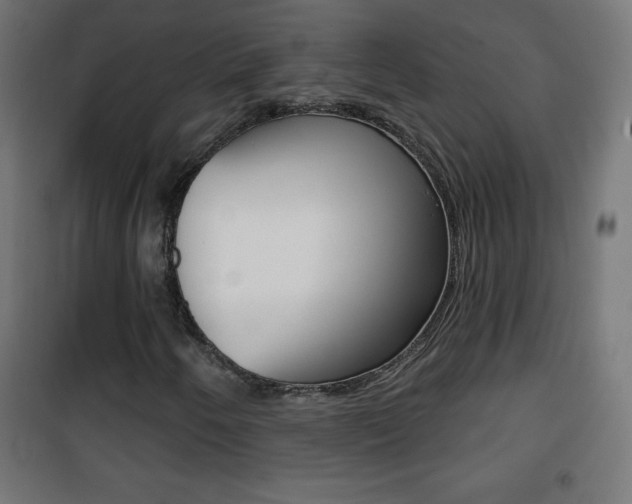X0000101471250200807071211
