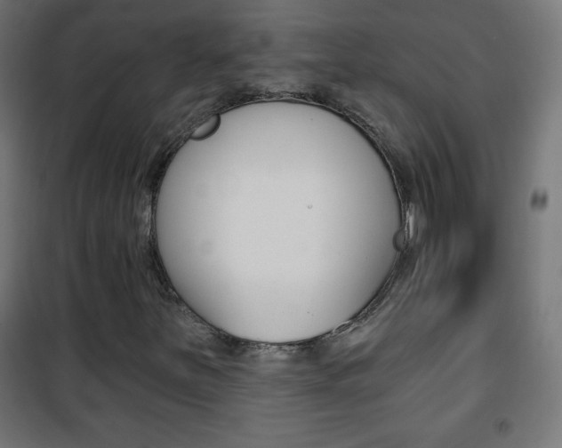 X0000101471251200807071211