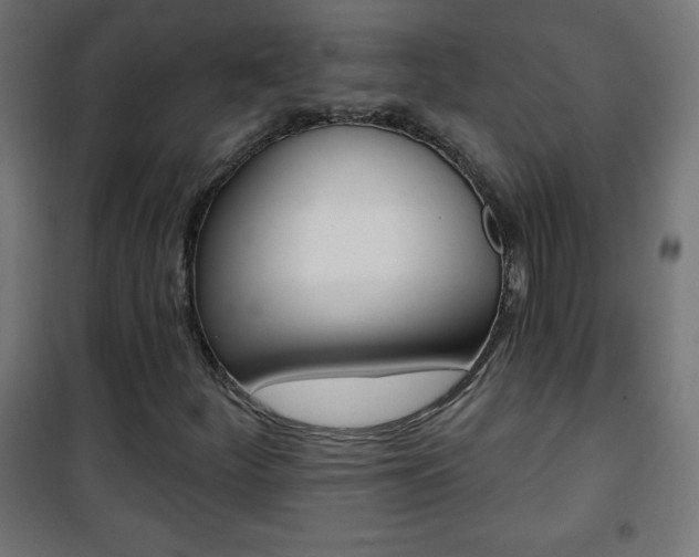 X0000101471252200807071211