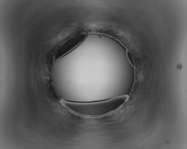 X0000101471253200807071211