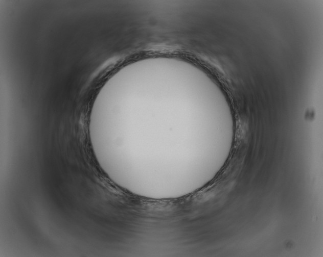 X0000101471254200807071210