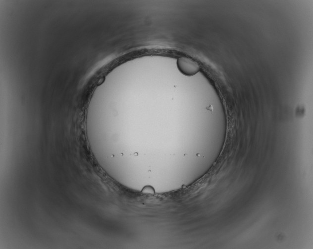 X0000101471255200807071210