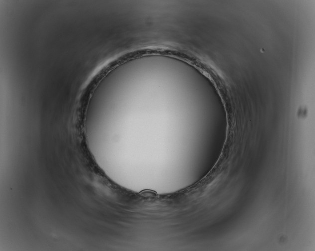 X0000101471256200807071210