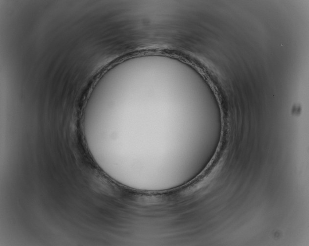 X0000101471257200807071210