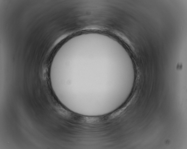 X0000101471258200807071210