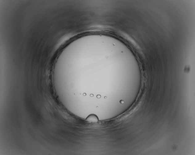 X0000101471259200807071210