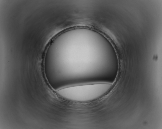 X0000101471260200807071210