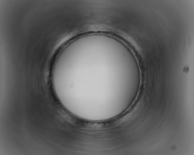 X0000101471261200807071210