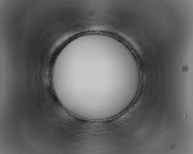 X0000101471262200807071210