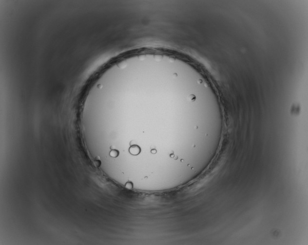 X0000101471263200807071210