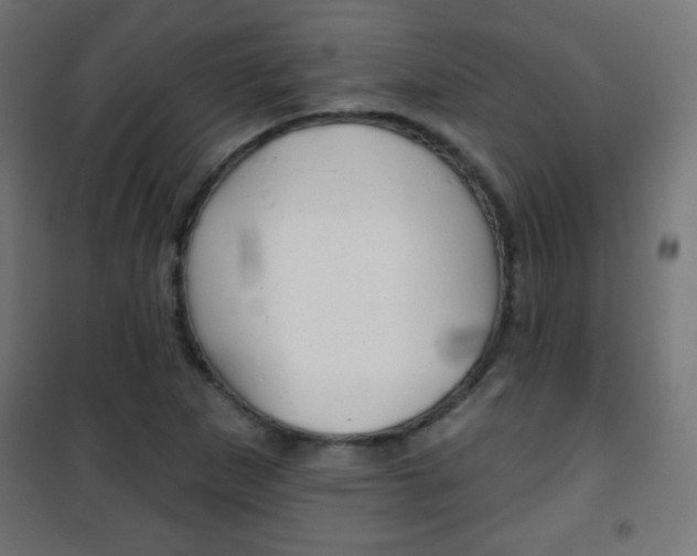 X0000101471265200807071210