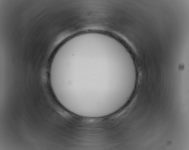 X0000101471266200807071210
