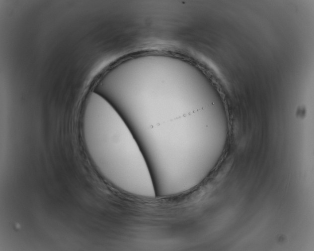 X0000101471267200807071210
