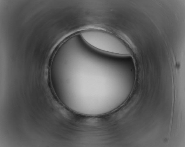 X0000101471268200807071210