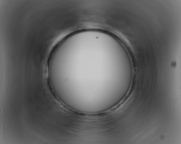 X0000101471269200807071210