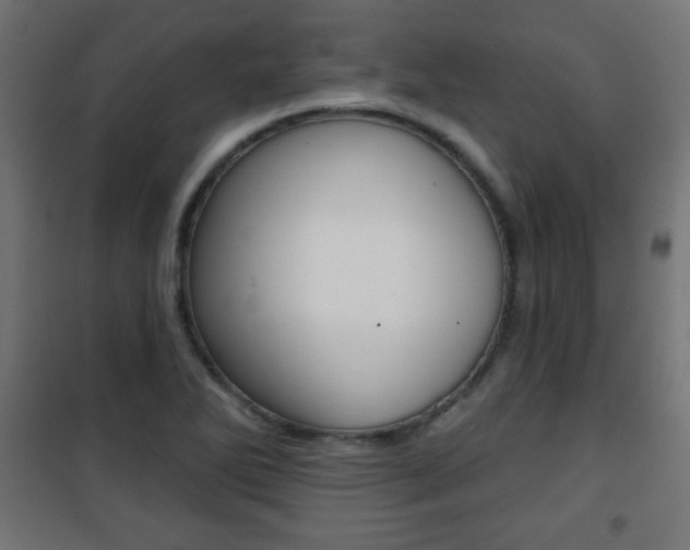 X0000101471270200807071210