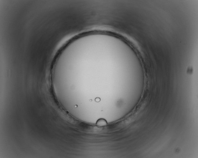 X0000101471271200807071210