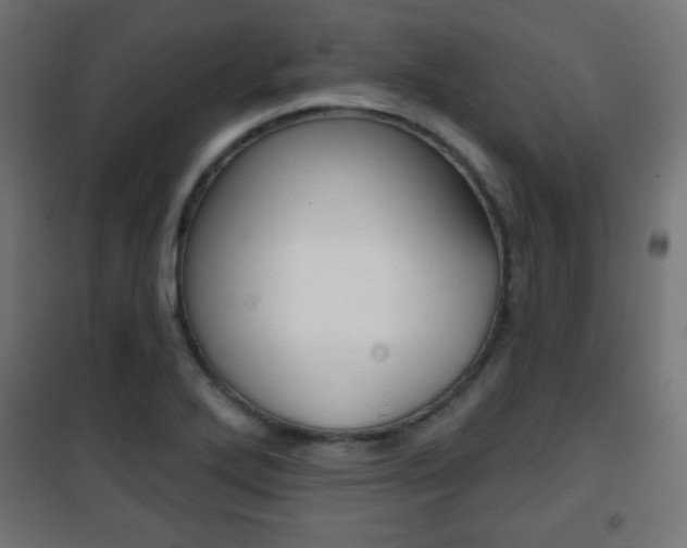 X0000101471272200807071210