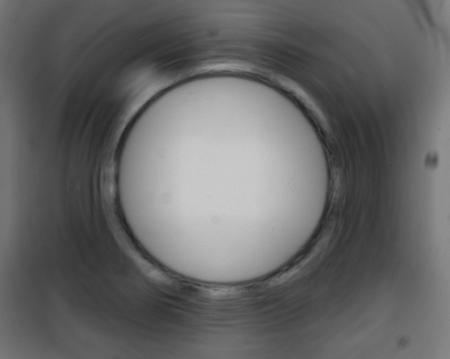 X0000101471274200807071210