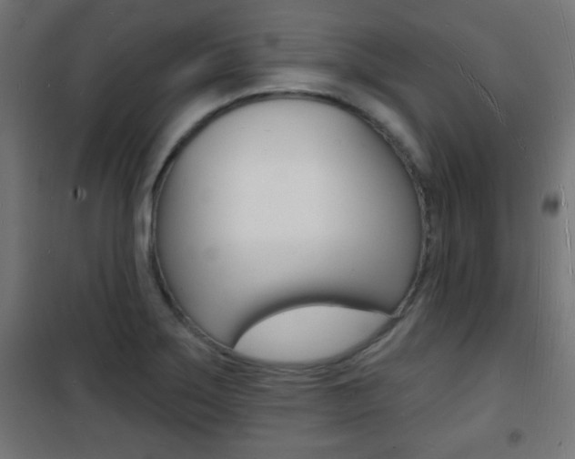 X0000101471275200807071210