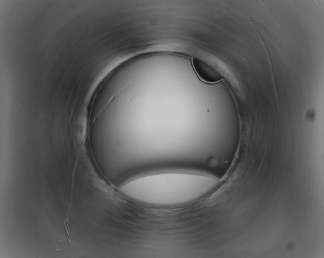 X0000101471276200807071210