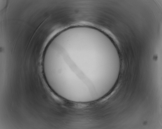 X0000101471278200807071210