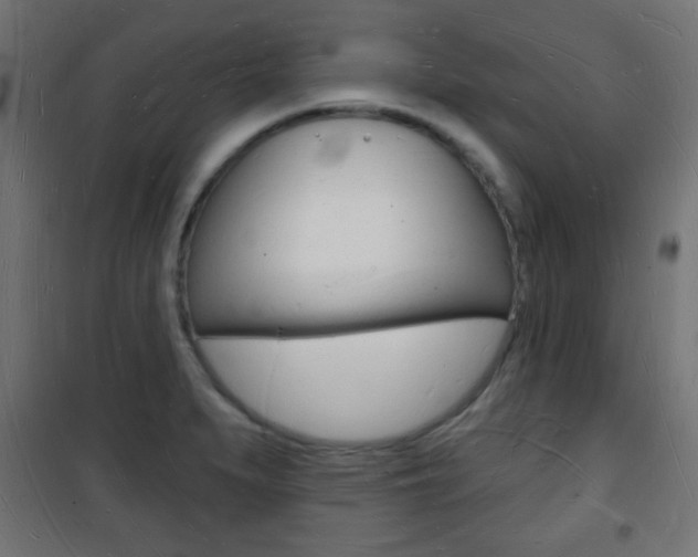 X0000101471279200807071210