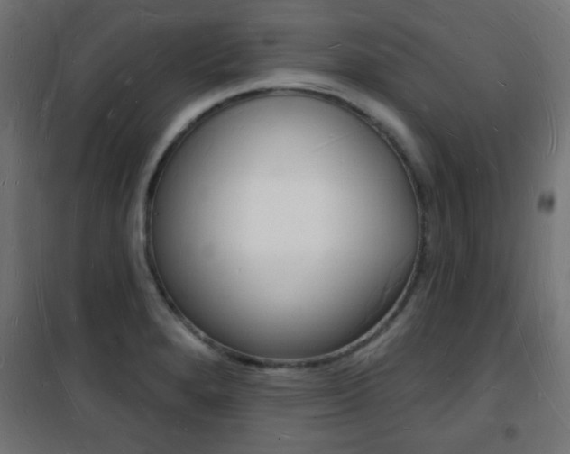 X0000101471280200807071210