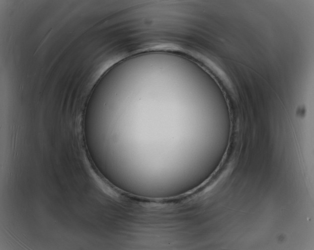 X0000101471281200807071210