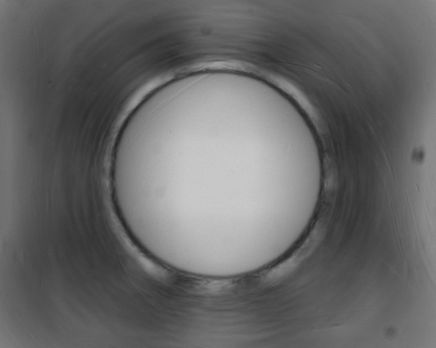 X0000101471282200807071210