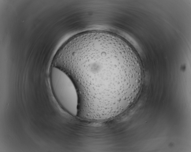X0000101471283200807071210