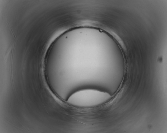 X0000101471285200807071210