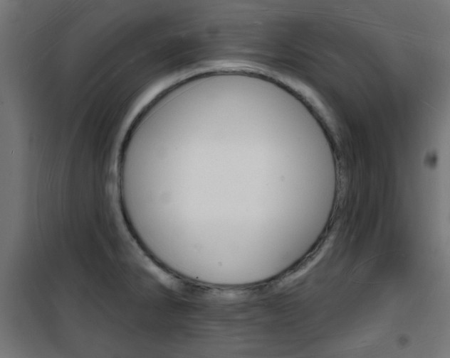 X0000101471286200807071210