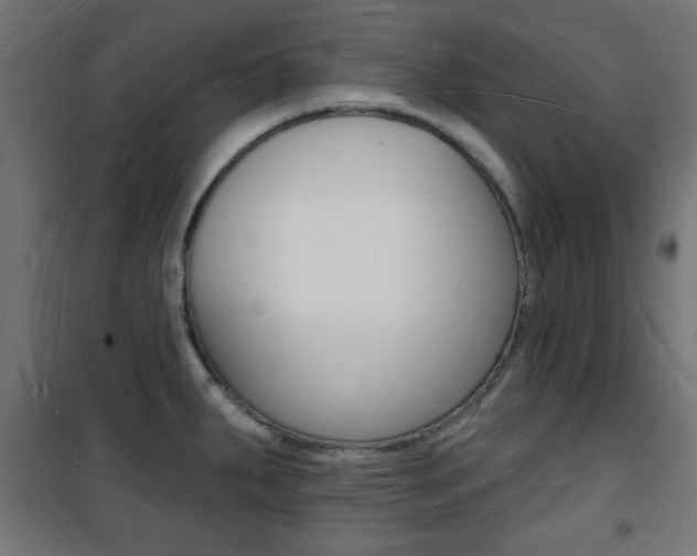 X0000101471287200807071210