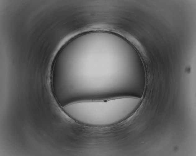 X0000101471288200807071210