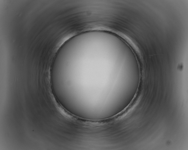 X0000101471289200807071210