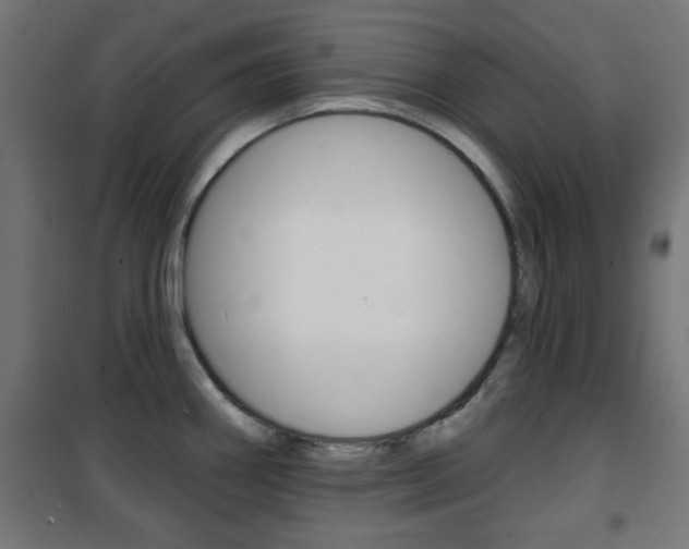 X0000101471290200807071210