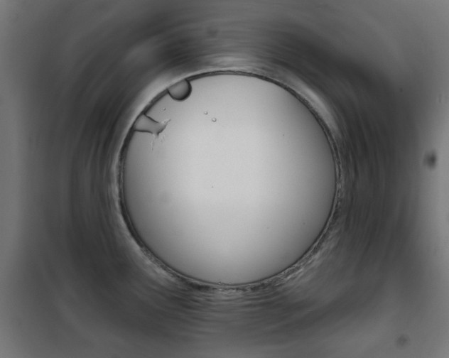 X0000101471291200807071210