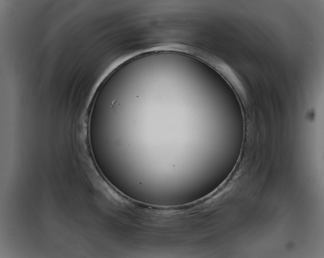 X0000101471292200807071210