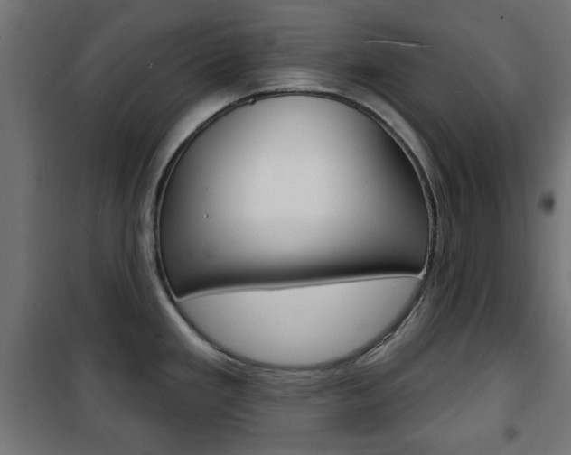 X0000101471293200807071210
