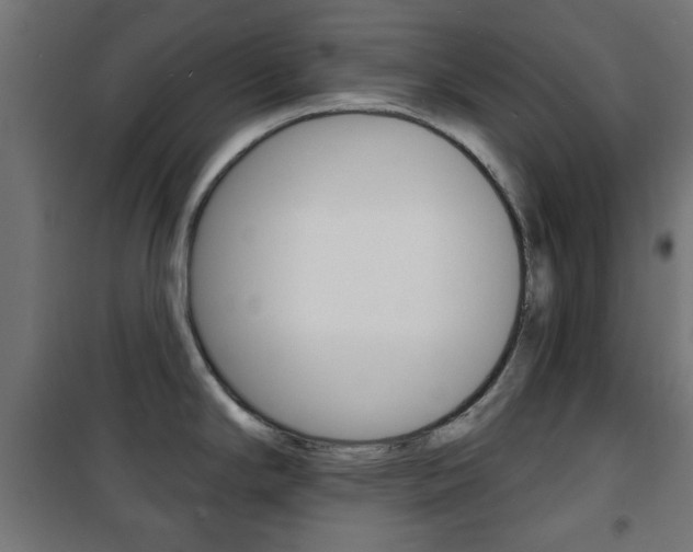 X0000101471294200807071210