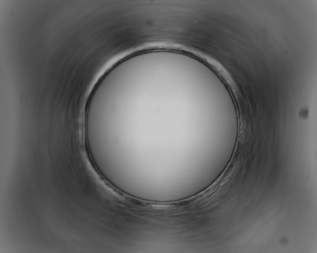 X0000101471295200807071210
